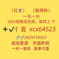 广东24小时一元一分跑得快群-百度搜索