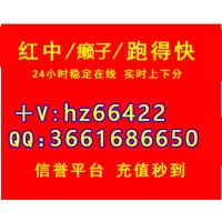 广东麻将1块1分红中癞子麻将跑的快秒上下麻将群