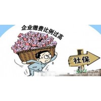 厦门代缴社保公司，代办厦门2024年社保，办理厦门社保代交