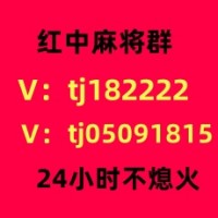 本地1元1分红中麻将群微信群服务好的