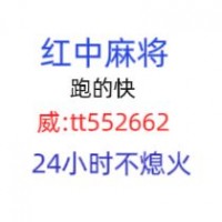 最专业广东红中麻将群2023已更新
