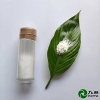 九朋单斜10nm二氧化锆粉末CY-R10