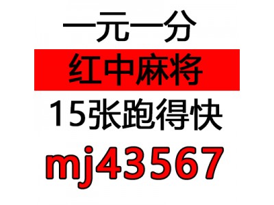 （独家解读）24小时一元一分红中麻将去哪里找（游戏/科普）