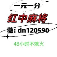 玩法须知（红中麻将）1元1分群谁有2024更新