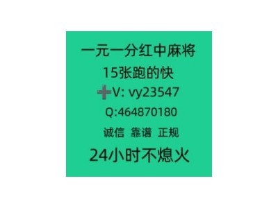 （芳华寻梦）正规一元一分红中麻将(哔哩/哔哩)