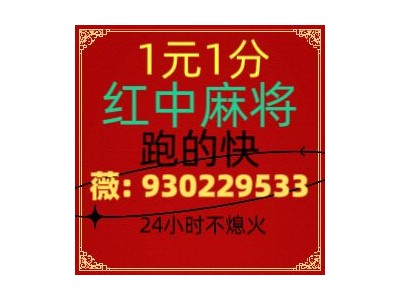 【一秒了解】正规红中24小时一元麻将《亮点》