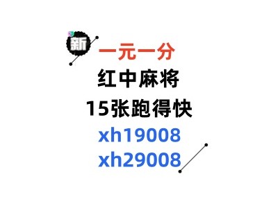 《盘点十款》24小时不熄火跑的快群（小红书）