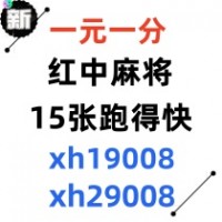 《重大通知》广东一元一分微信红中麻将群（哔哩哔哩）