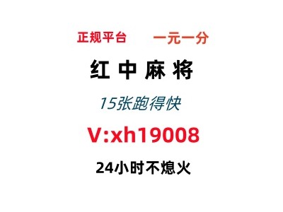 百度上下分24小时红中麻将群普通白菜