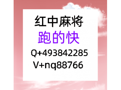 必看教程八年老群24小时1分1元红中麻将微信群