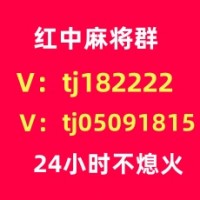 广东1块红中麻将群打牌群