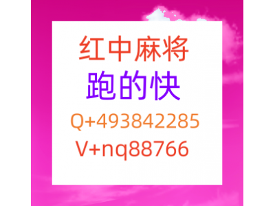 我找到了谁有广东红中一元一分麻将群新浪爱问