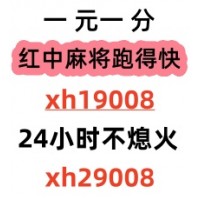 熊掌号正规红中麻将上下分群马铃薯