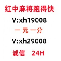 （今日财金）广东一元一分微信红中麻将群（腾讯新闻）