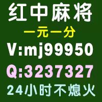 2024已更新真是玩家一元一分红中麻将群大众不二之选