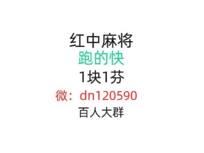花花世界谁有广东红中麻将群2024已更新