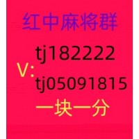 本地1块1分红中麻将群稳定