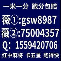 热门玩法两元一分真人24小时红中麻将跑得快群