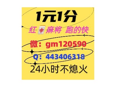 今日头条广东红中麻将群今日知乎