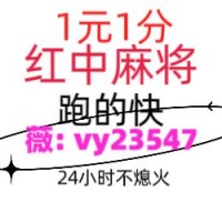 [金玉满堂]正规红中24小时一元麻将[日新月异]