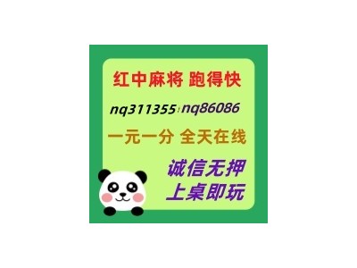 了解正规红中麻将跑得快群已全面更新