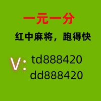 一块一分红中麻将群恬静