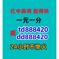 想玩1元1分红中麻将群稳定