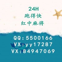 跑得快，24小时一元一分红中麻将(熊猫)