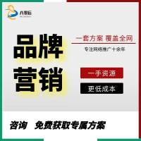 新品牌网络覆盖优化方案价格外包公司