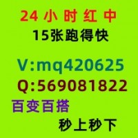 龙凤飞舞正规24小时一元一分红中跑得快麻将群今日/热榜