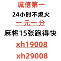 迅雷公众号15张跑的快群24小时不熄火百合