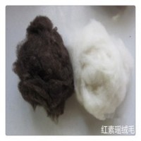 红素瑶绒毛厂供应羊毛原料 填充物 可拿样品