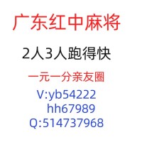 （2024） 1块1分广东红中麻将五年老群