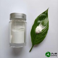 九朋30nm纳米二氧化硅（环氧树脂用）亲油改性CY-SP30S