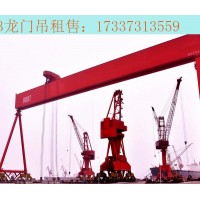 陕西咸阳龙门吊厂家 50吨设备待安装
