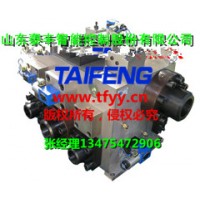 厂家供应泰丰YN32-100FCV不带快速缸，下腔Dg10