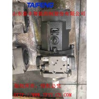 TFB1V63Y/1X柱塞泵山东泰丰智能厂家生产供应