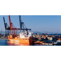 海运进口报关业务流程-箱讯科技国际物流供应链管理平台