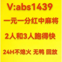 红中麻将跑的快abs1439