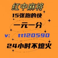 【金子招牌】广东红中麻将跑的快群(哔哩/哔哩)