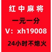 豆芽号正规1元1分红中麻将群鼠尾掌