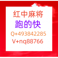 重大消息科普到哪里找一分一元24小时在线红中麻将群