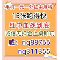 重大通知科普24小时一分一元红中麻将微信群