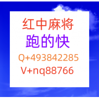 常识科普有哪些火爆一分一元24小时在线红中麻将群