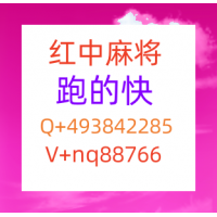 常识科普有哪些百科24小时一分一元红中麻将微信群