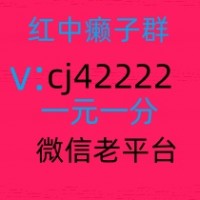 我来教1元1分红中麻将群多元素