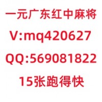 龙凤飞舞广东红中麻将一元一分百度/贴吧