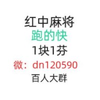 科普一下手机广东一元一分红中麻将群2024已更新微信群