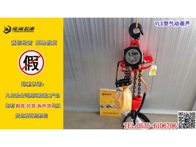 环链式起重葫芦质保一年终身保修龙海起重工具