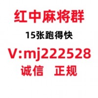 今日爆料2人广东红中麻将一元一分桌游棋牌